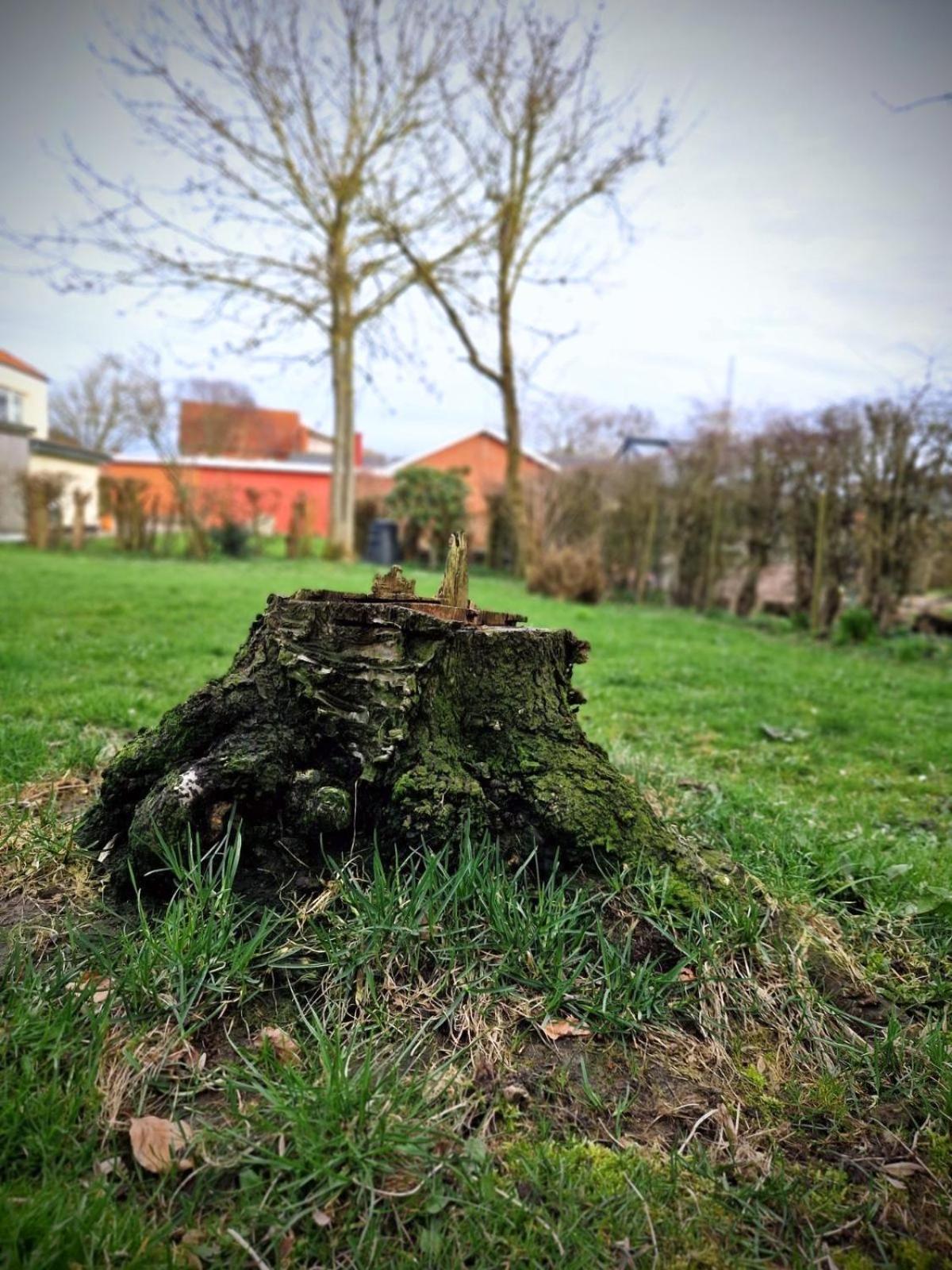 Haus Fabjerg Villa